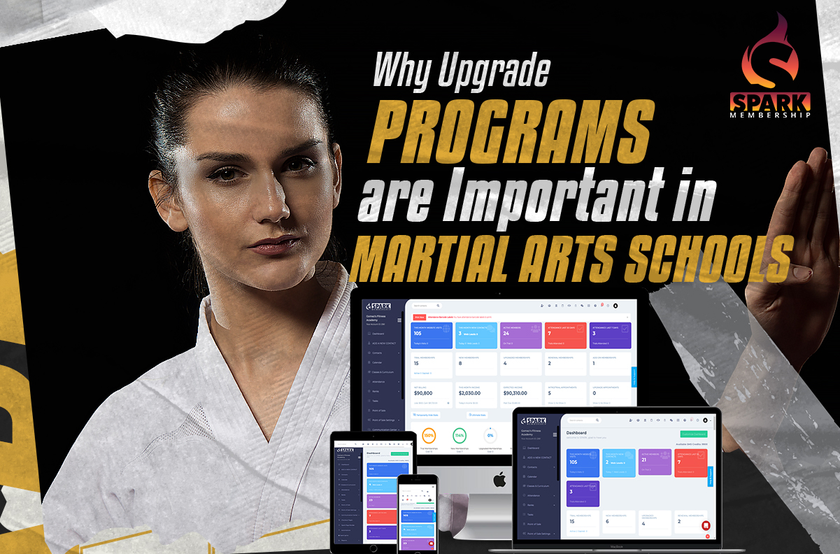 Why Upgrade Programs are Important in Martial Arts Schools