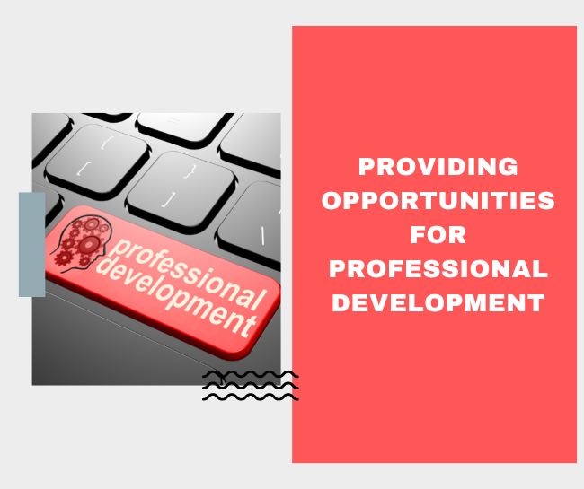Providing opportunities for professional development