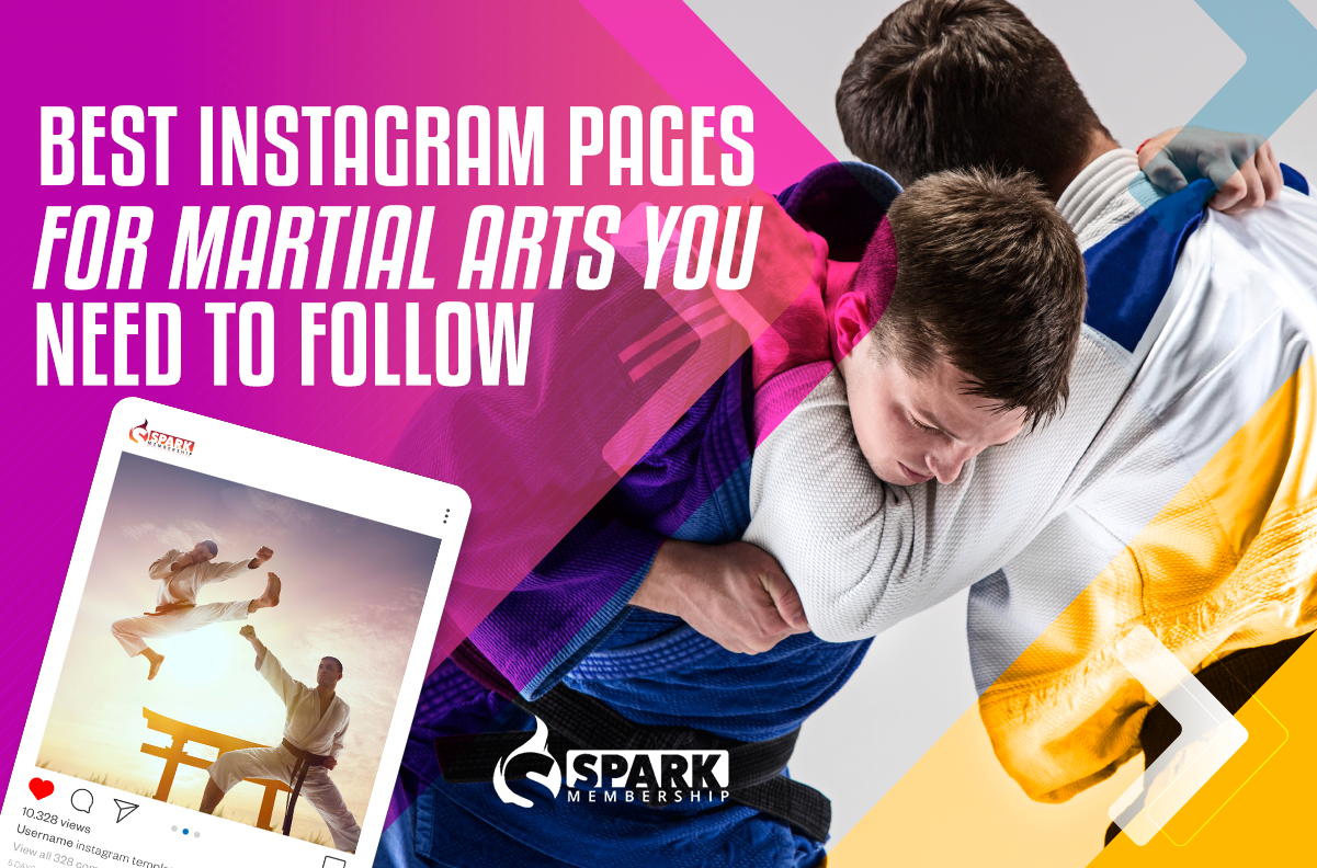 best instagram pages for martial arts