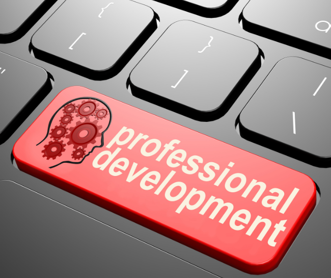 Provide professional development opportunities