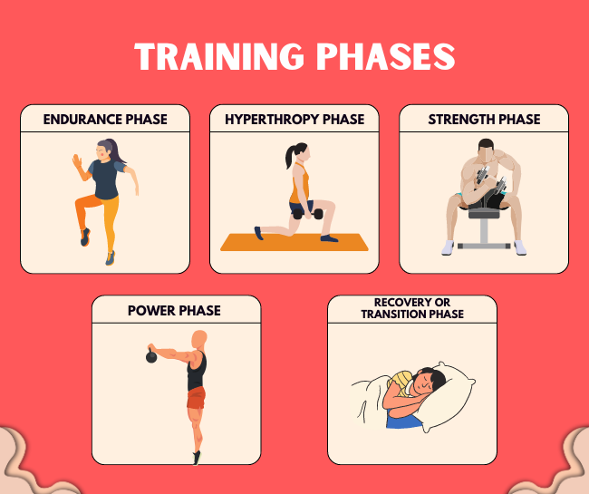 Training phases