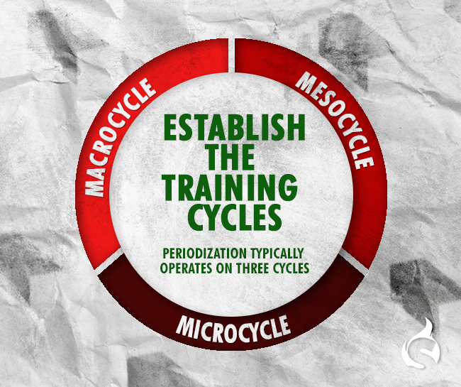 Establish the Training Cycles