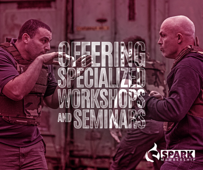 Offering Specialized Workshops and Seminars