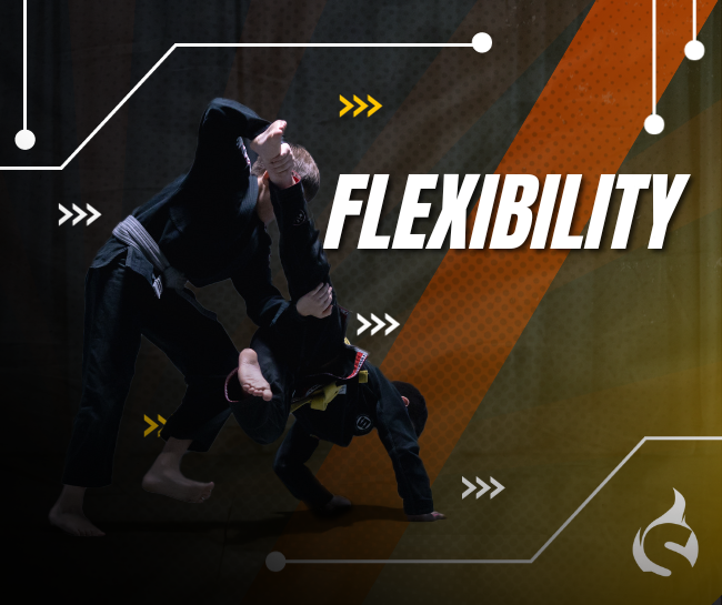 Flexibility