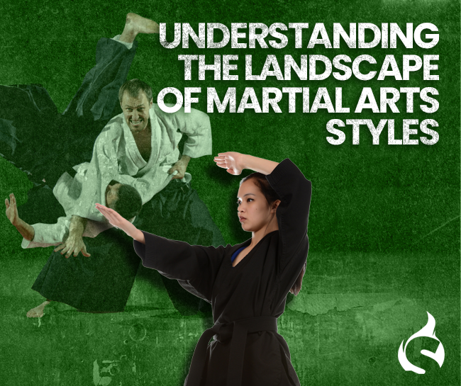 Understanding the Landscape of Martial Arts Styles