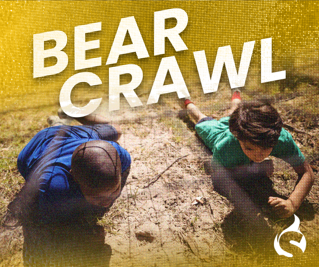 Bear Crawl