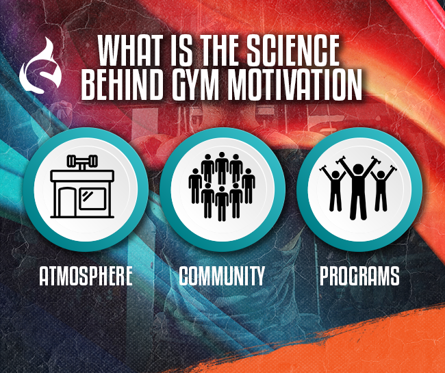 What Is the Science Behind Gym Motivation