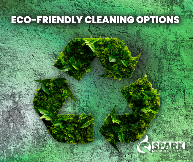 Eco-Friendly Cleaning Options
