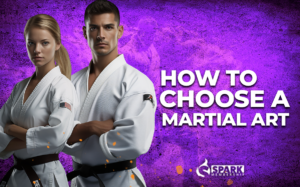 How to Choose a Martial Art