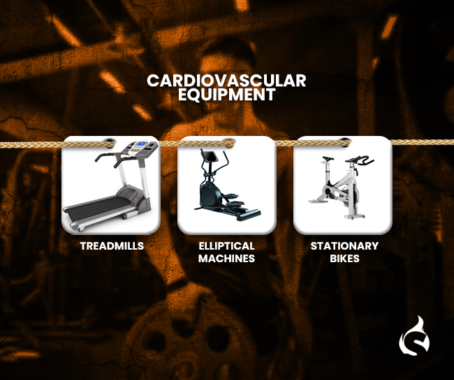 Cardiovascular Equipment