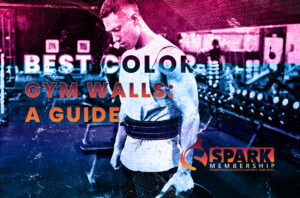 Best Color for Gym Walls: A Guide