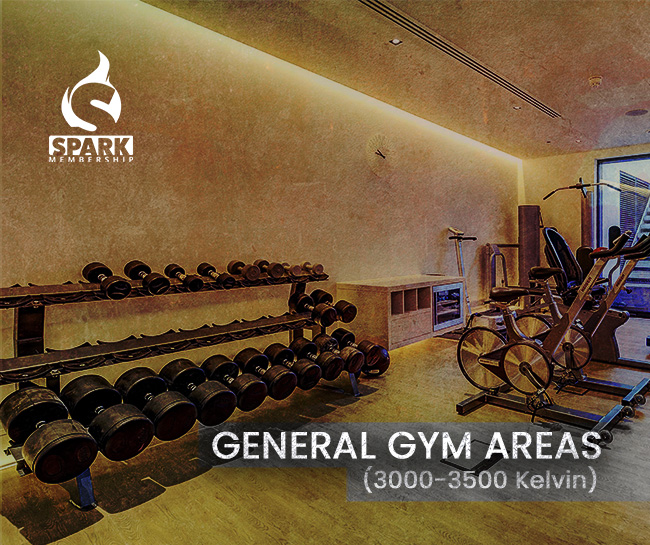 General Gym Areas