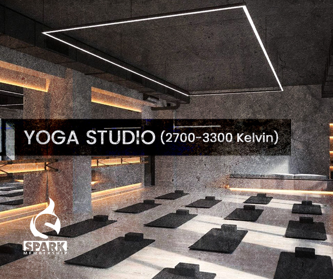 Yoga/Pilates Studios