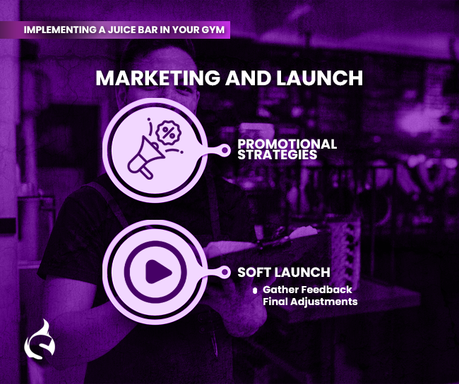 Marketing and Launch
